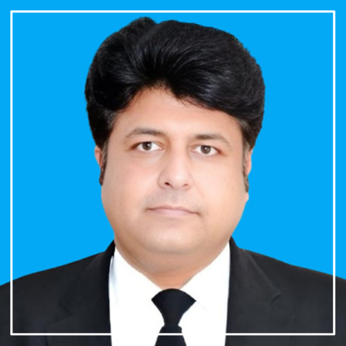 Untitled design (81)